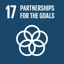 The Global Goals Icons Color Goal 17